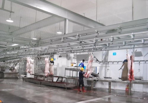 民生實(shí)事喜結(jié)碩果 區(qū)肉聯(lián)廠(chǎng)遷建項(xiàng)目一期工程竣工驗(yàn)收并投入運(yùn)營(yíng)